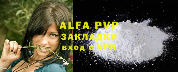 спиды Корсаков