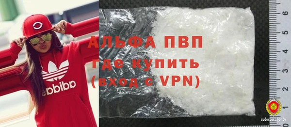 спиды Корсаков