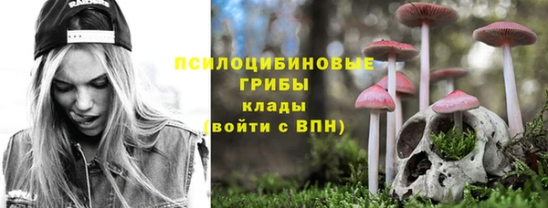 дживик Коряжма