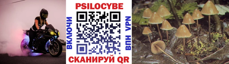 Купить где  Северская  Псилоцибиновые грибы MAGIC MUSHROOMS 